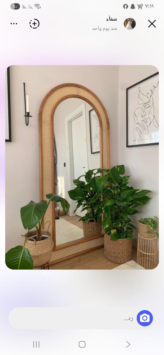 مرآه بامبو طبيعى 