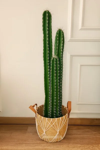 بوت خوص مستوردكبير يد جلد