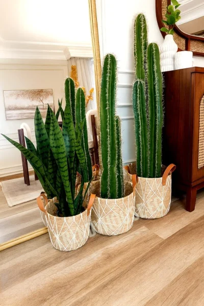 بوت خوص مستورد وسط يد جلد