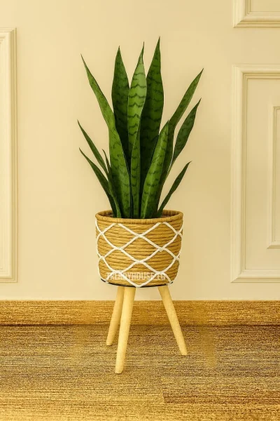 بوت زرع مستورد كبير