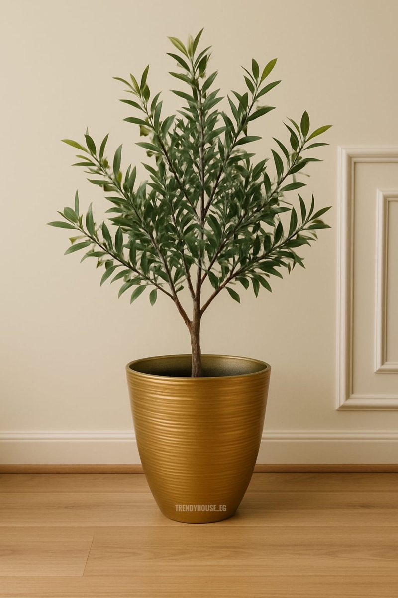 بوت فيبر مستورد