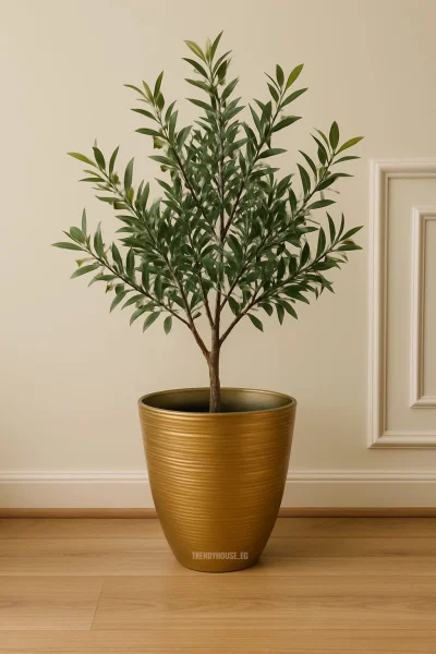 بوت فيبر مستورد