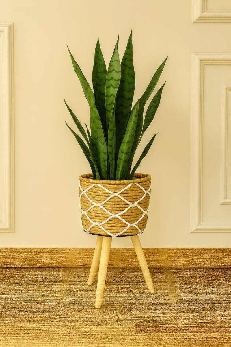 بوت زرع مستورد صغير 