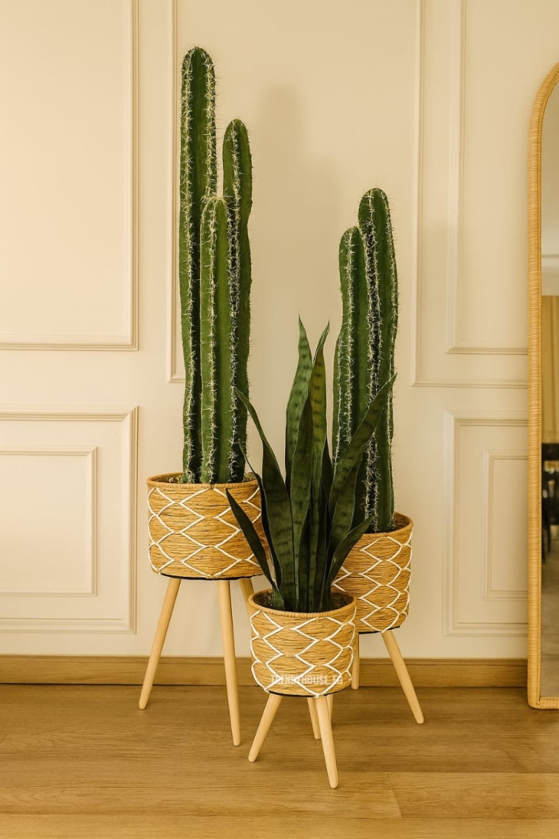 طقم بوتات مستورد 