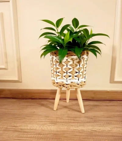 بوت زرع مستورد وسط 