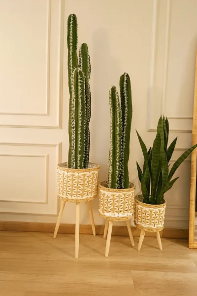 طقم بوتات مستورد 