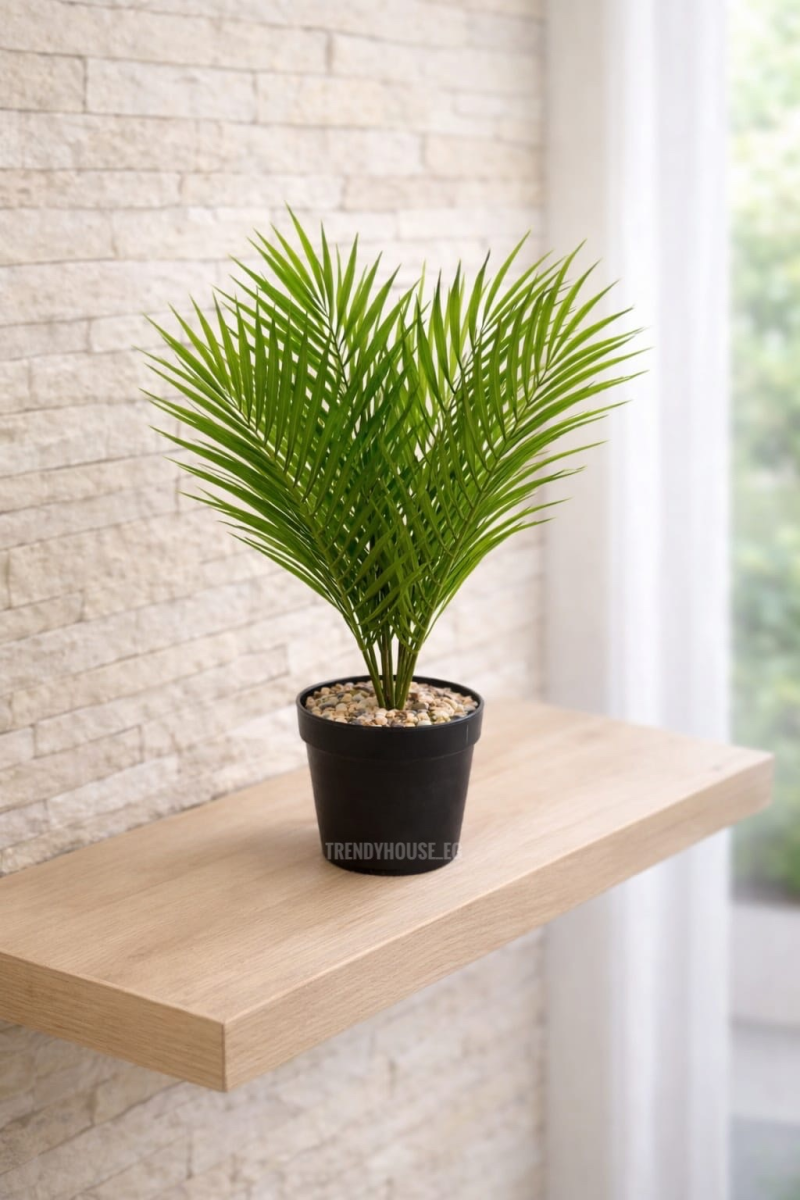 فازه شجر نخيل 