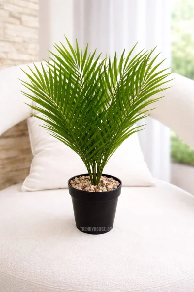 فازه شجر نخيل 