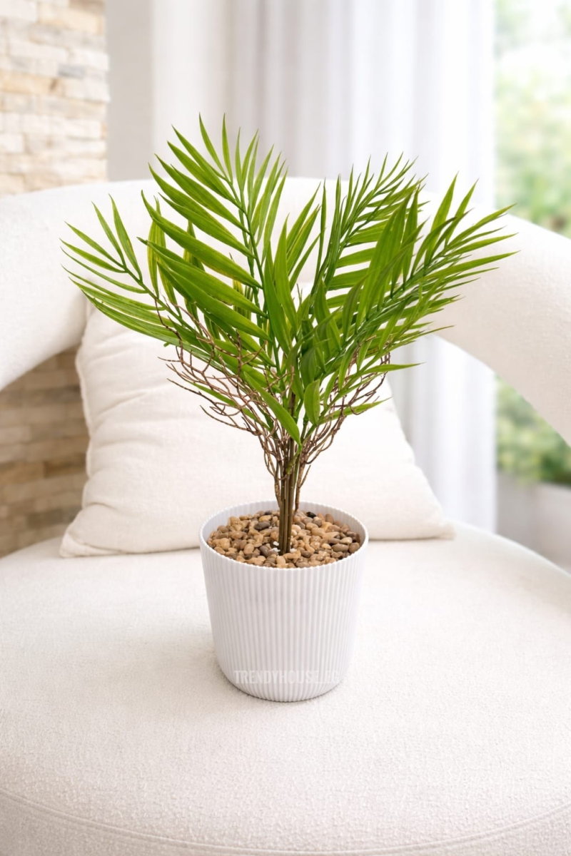 فازه شجر نخيل