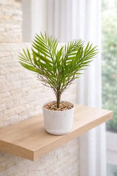 فازه شجر نخيل