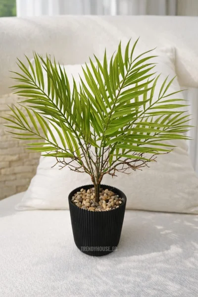 فازه شجر نخيل