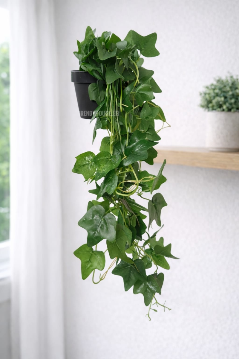 شلال زرع اللبلاب