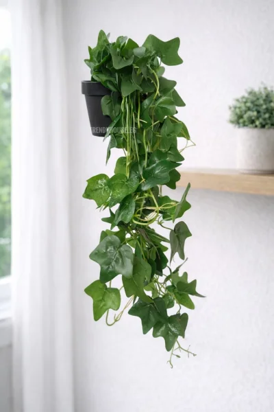 شلال زرع اللبلاب