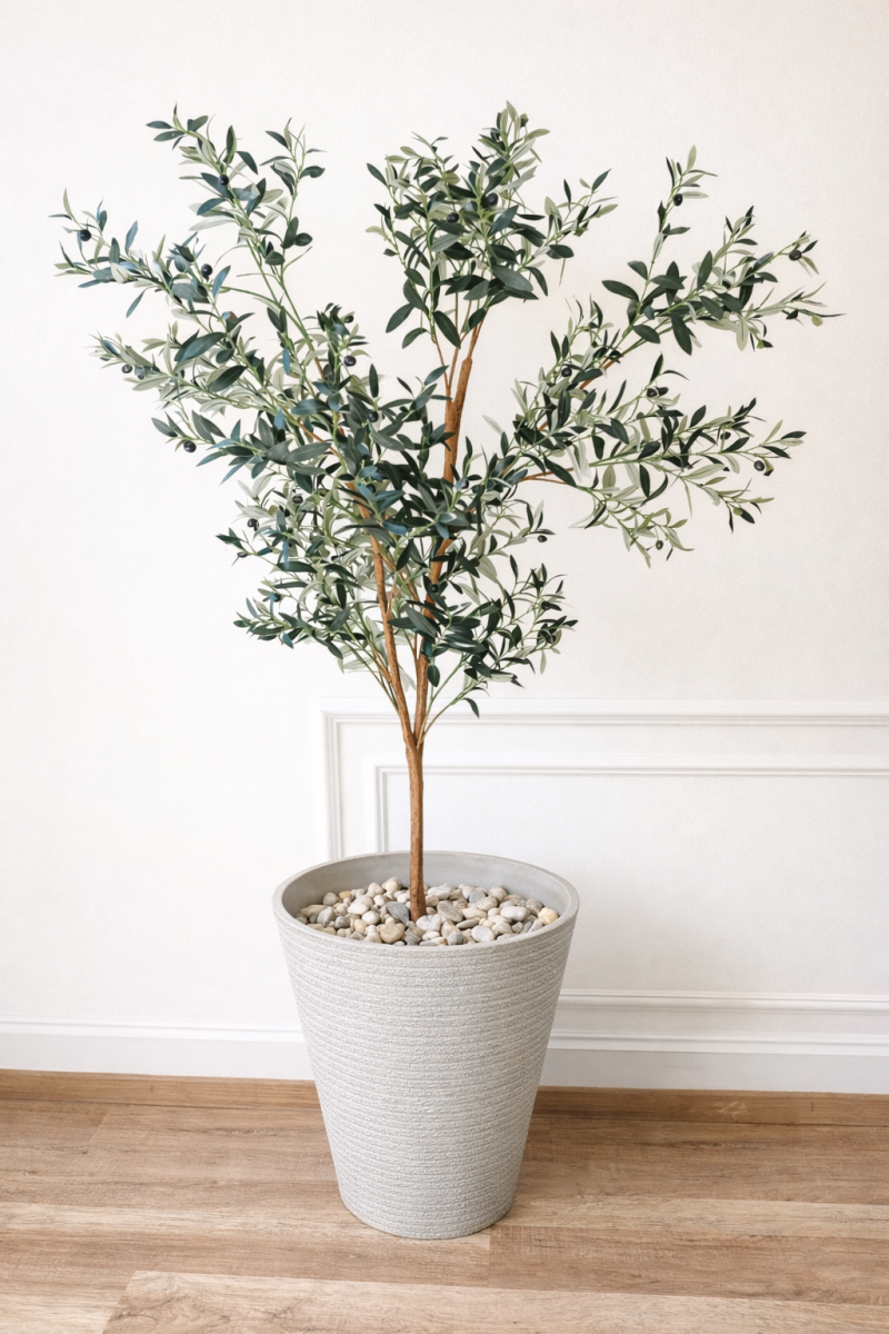 شجره زيتون 180سم 