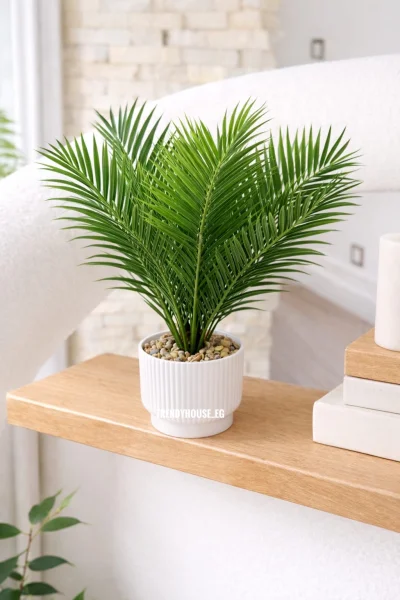 فازه شجر نخيل 