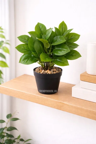 فازه شجر اللبلاب