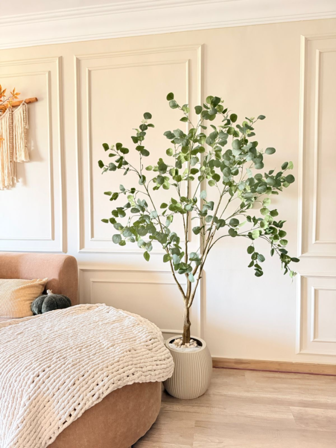 شجره إكلبتوس 180 سم