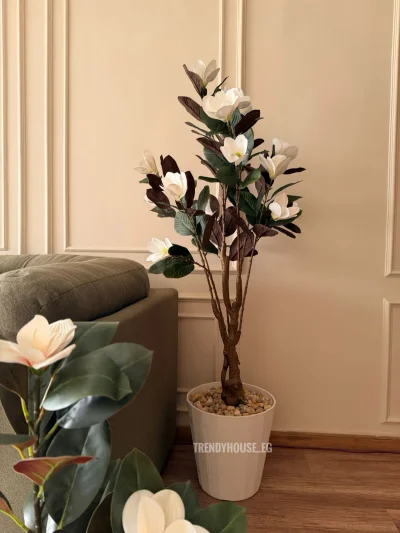 شجره ورد 165 سم