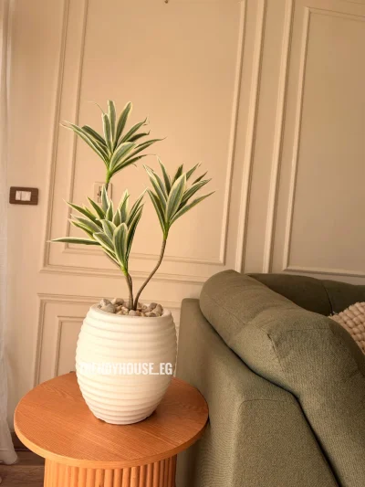 دراسينا فاتحه 90سم