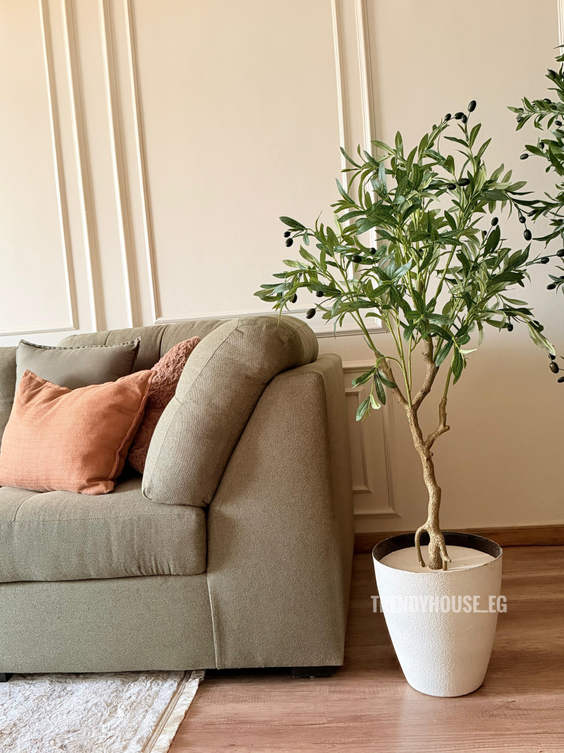 شجره زيتون 140 سم 
