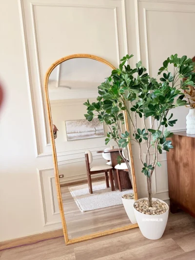 شجره شوفليرا 170 سم 