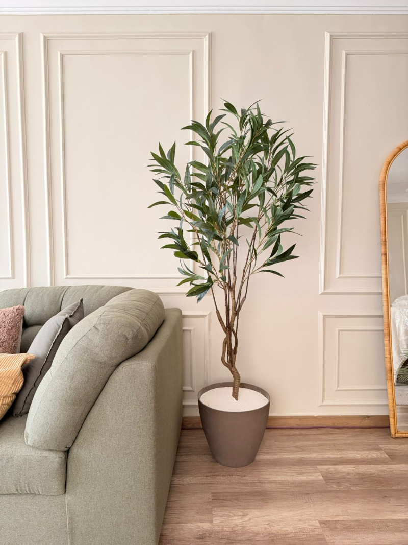 شجره دراسينا 180سم 