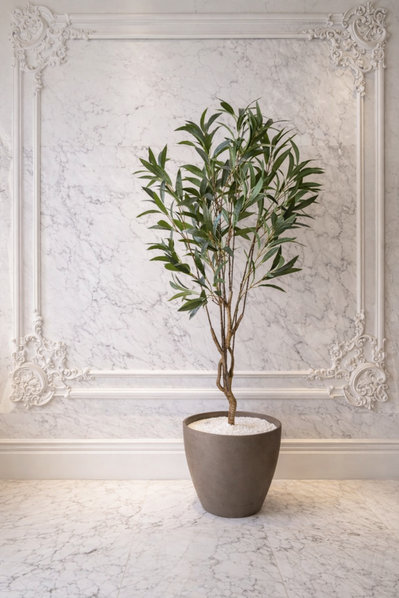 شجره دراسينا 180سم 