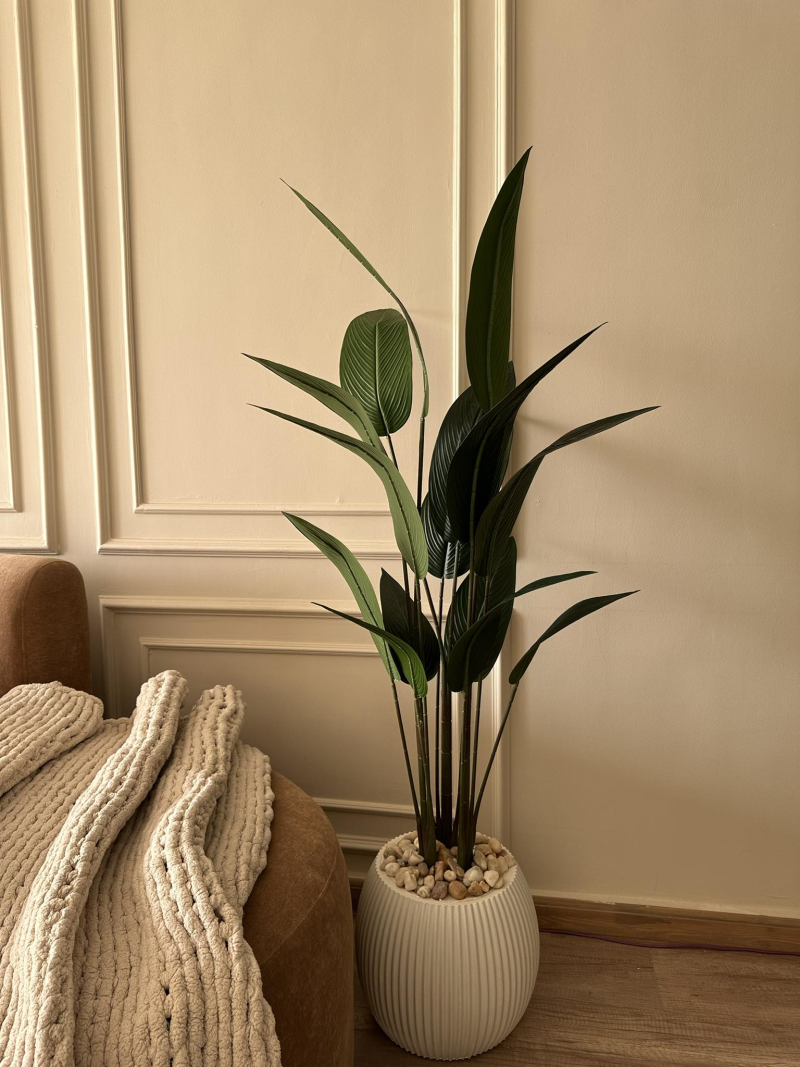 شجره موز عصفور 180سم