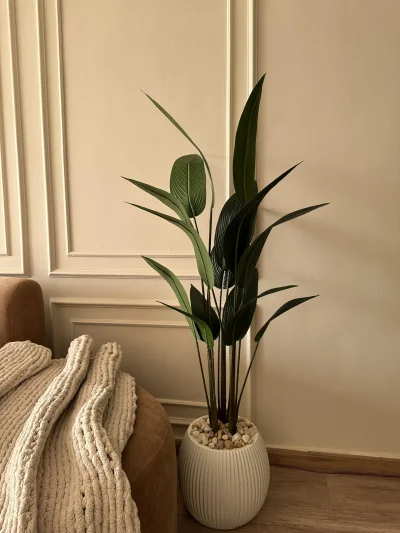 شجره موز عصفور 180سم