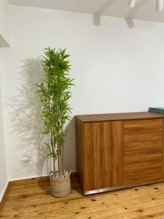 شجره بامبوا 160سم