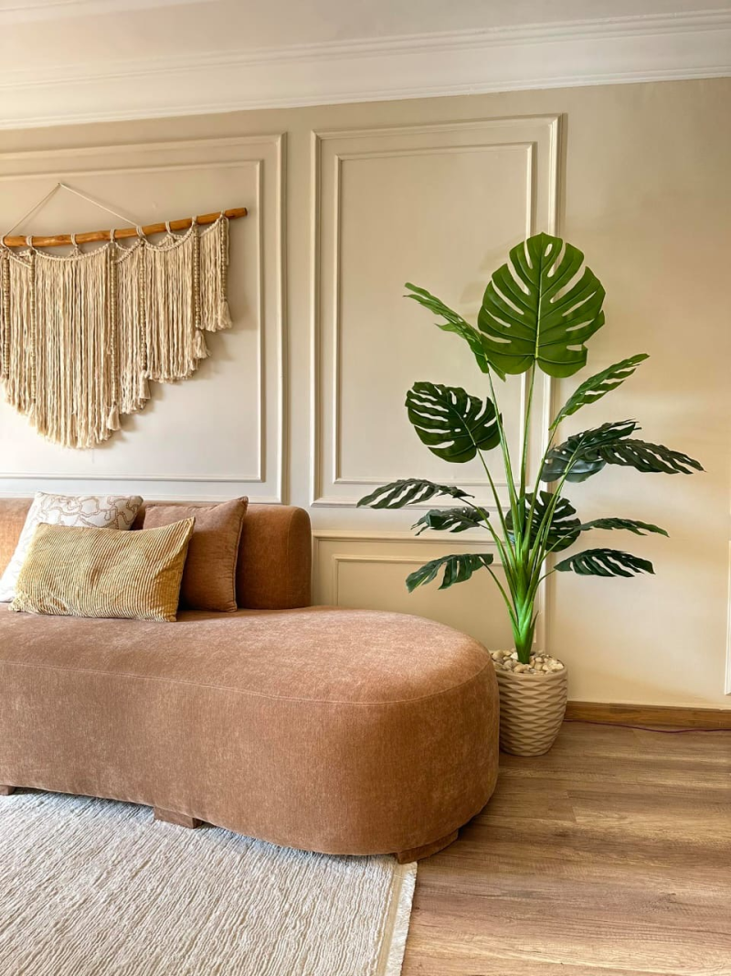 شجره مونسترا 180سم