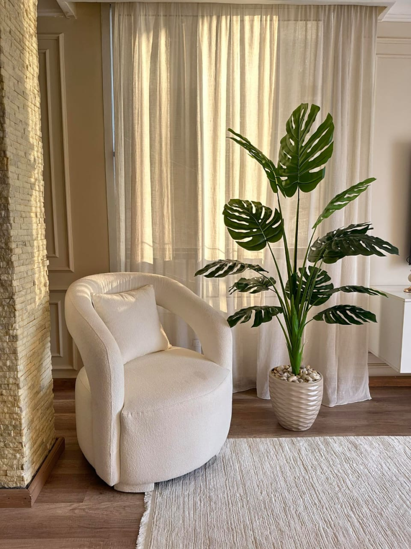 شجره مونسترا 180سم