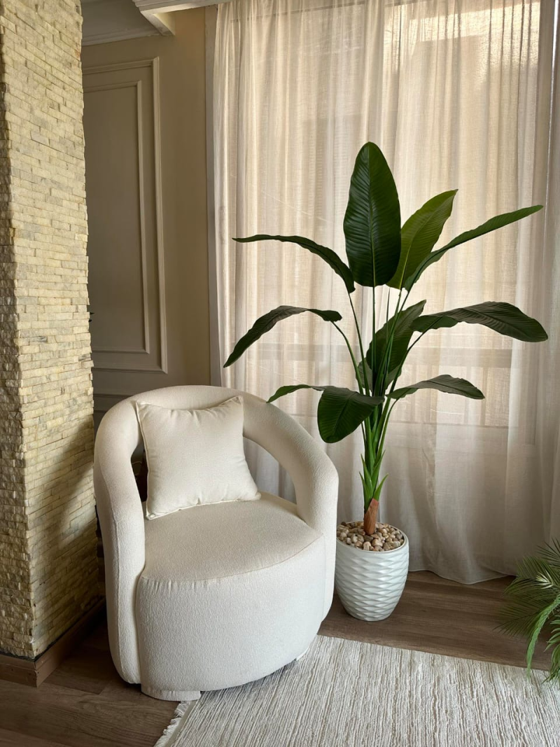 شجره موز 180 سم